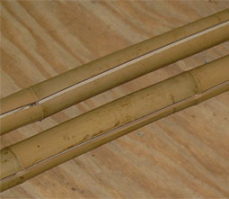 6ft Sections of Bamboo
